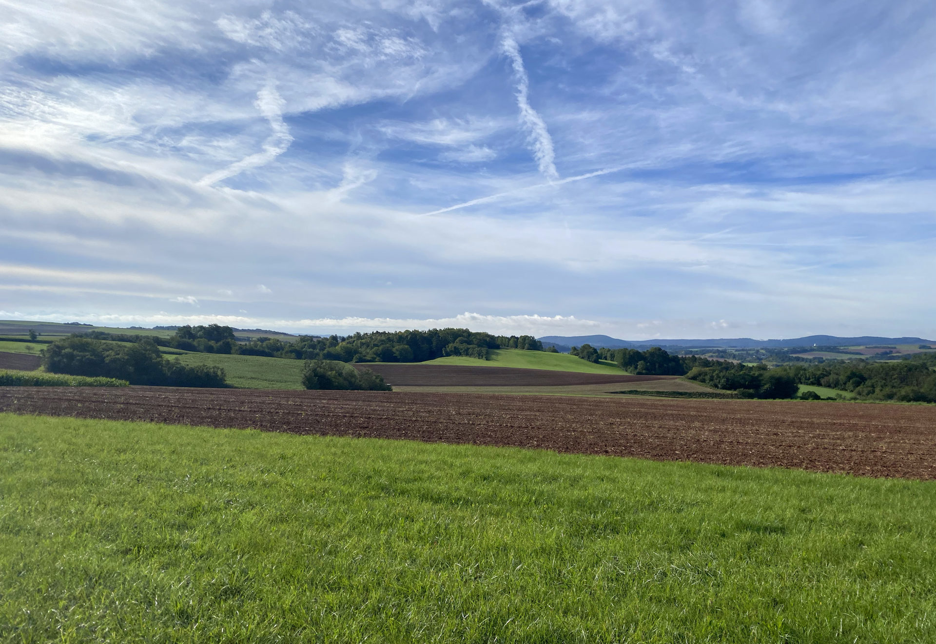 Hersfeld-Rotenburg Werra-Meißner-Kreis › Michael Roth MdB